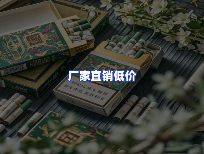 专业团队